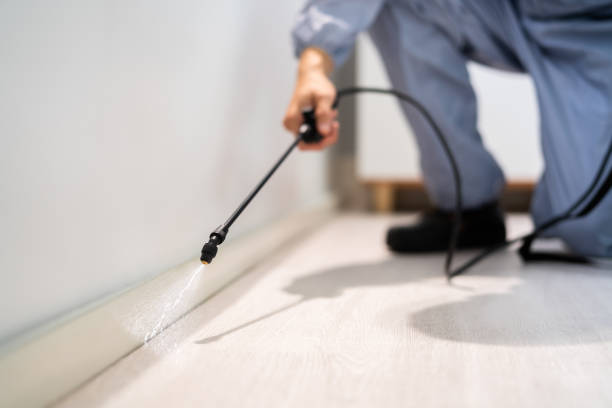 Bed Bug Pre-Treatment Preparation Assessment in Edgewater